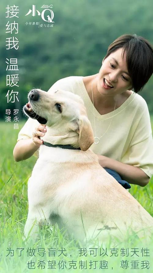 代办泰拉迪拉学院文凭毕业证